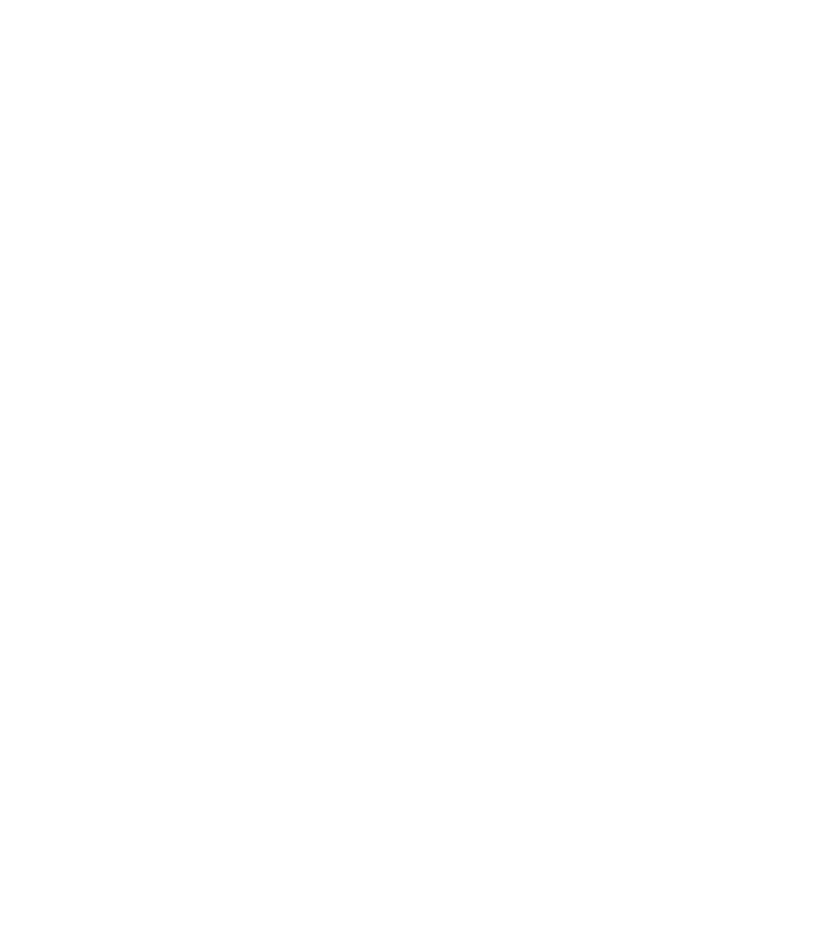 S&V LED Lights logo